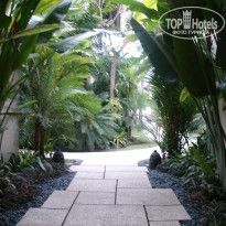 фото из отзыва ID 449154