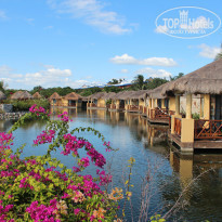 фото из отзыва ID 449258