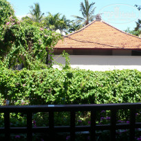 фото из отзыва ID 449006