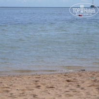 фото из отзыва ID 449006