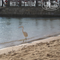 фото из отзыва ID 449426