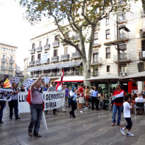 фото из отзыва ID 449446