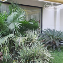 фото из отзыва ID 449500