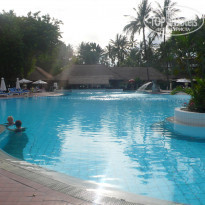 фото из отзыва ID 449006