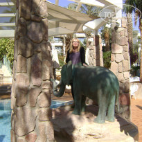 фото из отзыва ID 449603