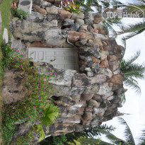 фото из отзыва ID 449709