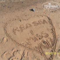 фото из отзыва ID 449728