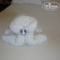 фото из отзыва ID 449839