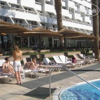 фото из отзыва ID 450111