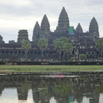 фото из отзыва ID 450349