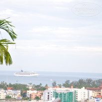 фото из отзыва ID 450547