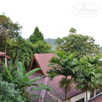 фото из отзыва ID 450547