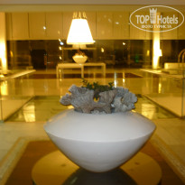 фото из отзыва ID 450579