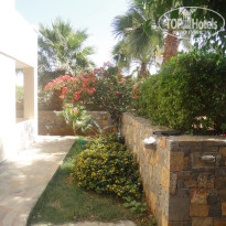 фото из отзыва ID 450488