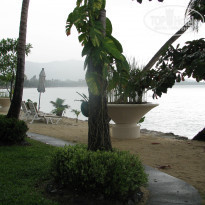 фото из отзыва ID 450815