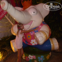 фото из отзыва ID 450568