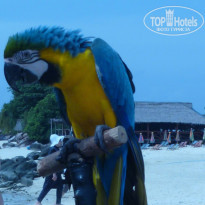 фото из отзыва ID 450568