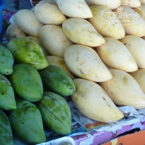 фото из отзыва ID 450568