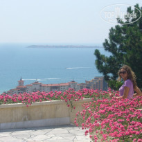 фото из отзыва ID 451022