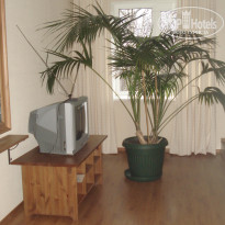 фото из отзыва ID 451290