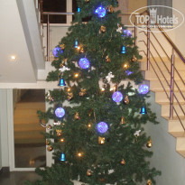 фото из отзыва ID 451290