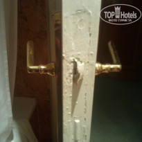 фото из отзыва ID 451462