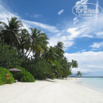 фото из отзыва ID 451481