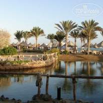 фото из отзыва ID 451557