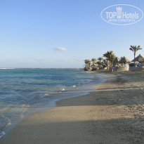 фото из отзыва ID 451557