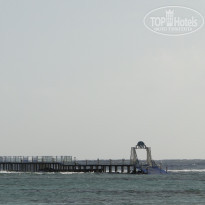 фото из отзыва ID 451557