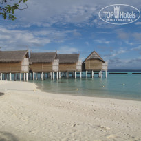 фото из отзыва ID 451586