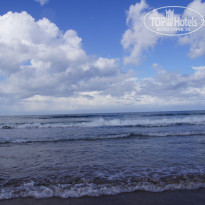 фото из отзыва ID 451651