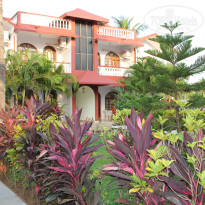 фото из отзыва ID 452046