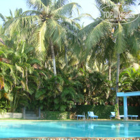 фото из отзыва ID 452047