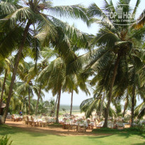 фото из отзыва ID 452047