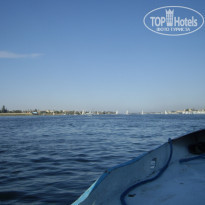 фото из отзыва ID 452142