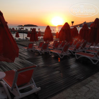 фото из отзыва ID 452185