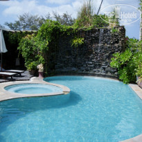 фото из отзыва ID 452187