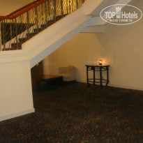 фото из отзыва ID 452359