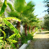 фото из отзыва ID 452479