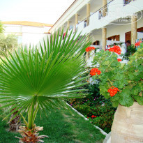 фото из отзыва ID 452479