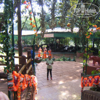 фото из отзыва ID 452530