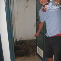 фото из отзыва ID 452710