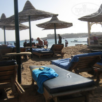 фото из отзыва ID 452727