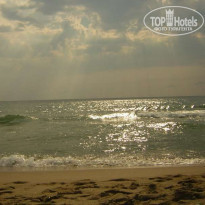 фото из отзыва ID 45324