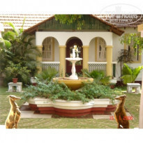 фото из отзыва ID 45355