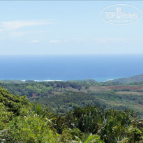 фото из отзыва ID 453287