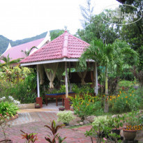 фото из отзыва ID 453394