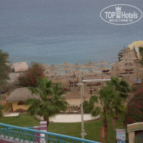 фото из отзыва ID 453460