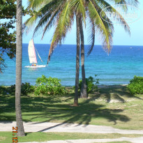 фото из отзыва ID 453688